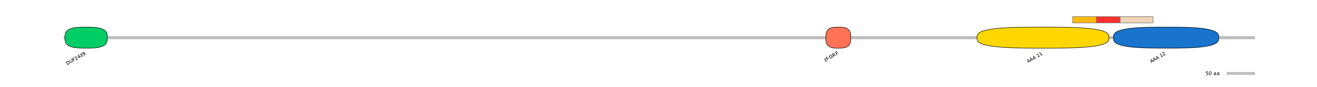 HsaEX0010989-INC