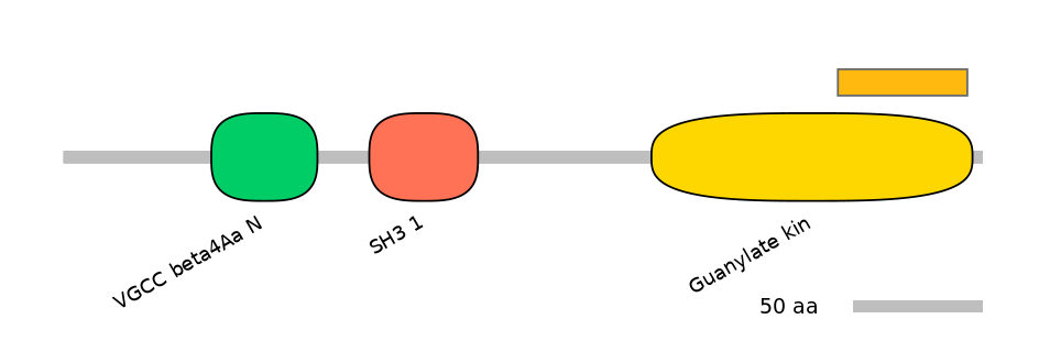 HsaEX0012048-EXC