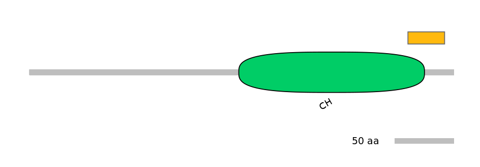 HsaEX0012287-EXC