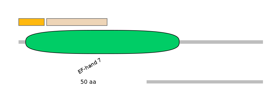 HsaEX0012354-EXC