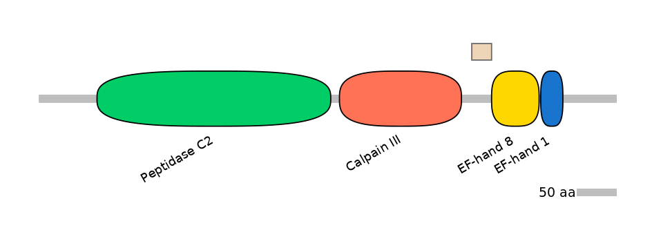 HsaEX0012369-EXC