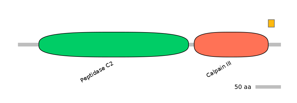 HsaEX0012389-EXC