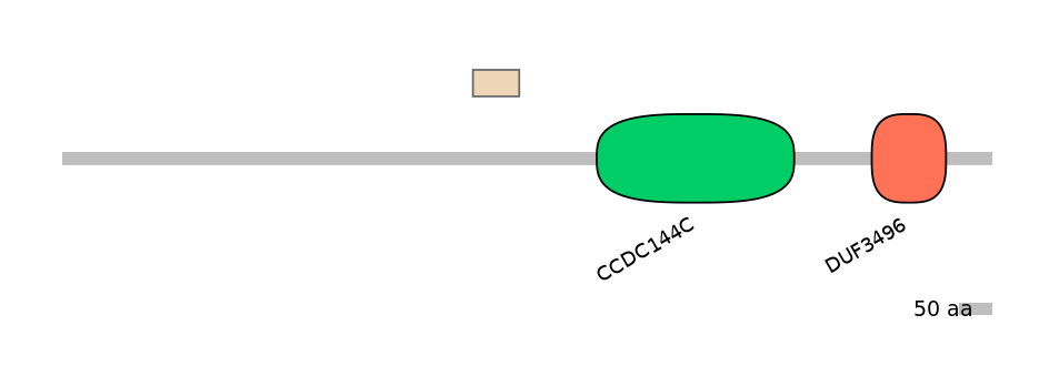 HsaEX0013051-EXC