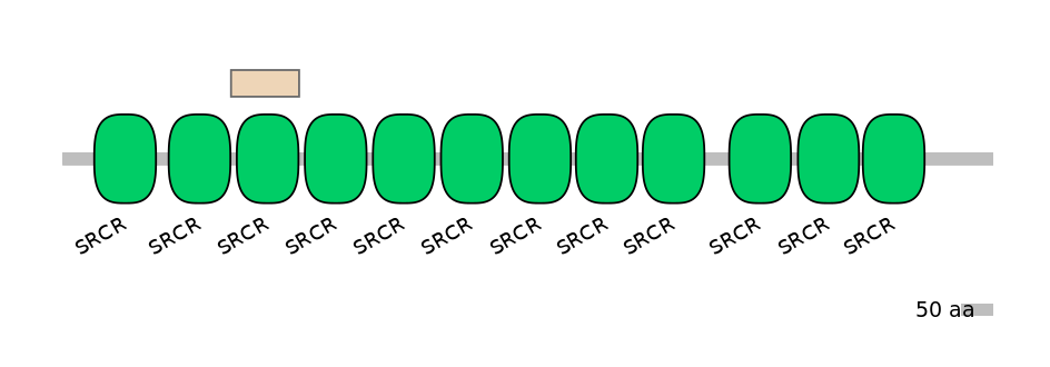 HsaEX0013761-EXC