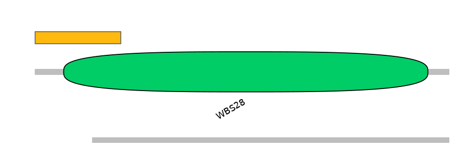 HsaEX0013763-EXC