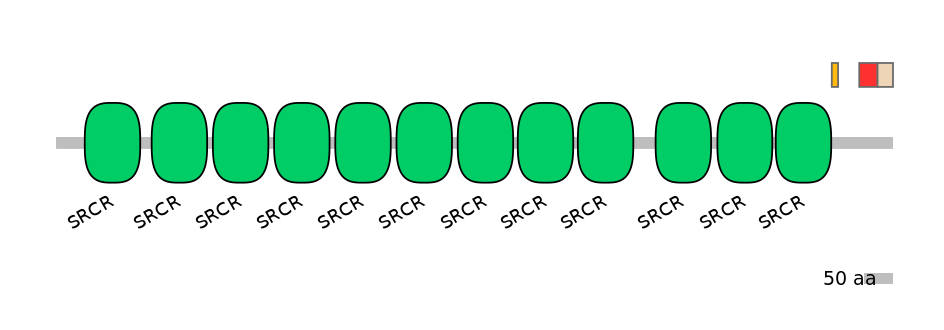 HsaEX0013763-INC
