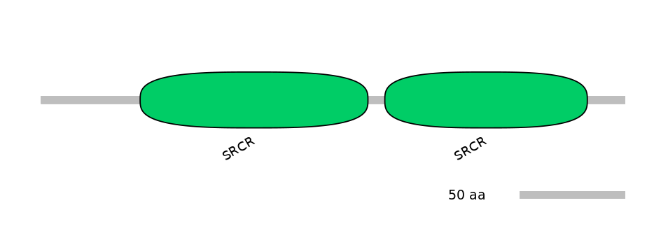 HsaEX0013896-EXC