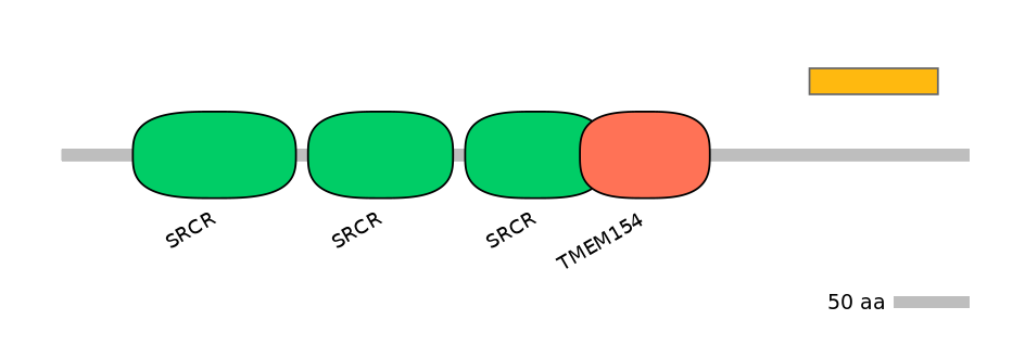 HsaEX0013897-EXC