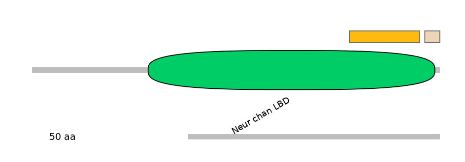 HsaEX0015306-EXC