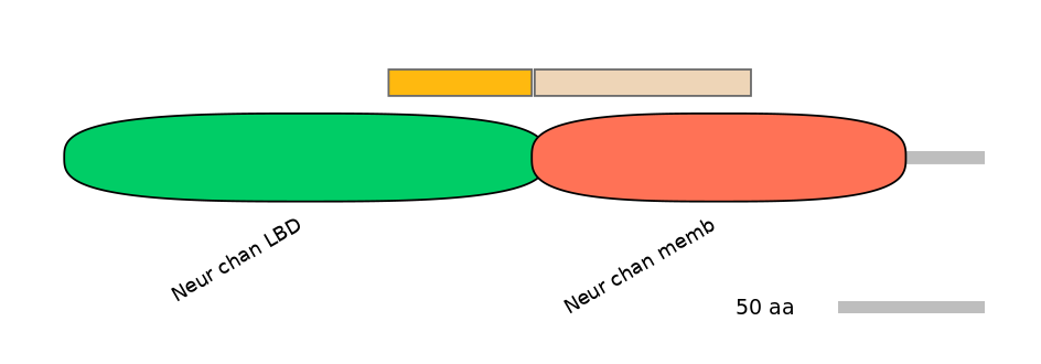 HsaEX0015321-EXC