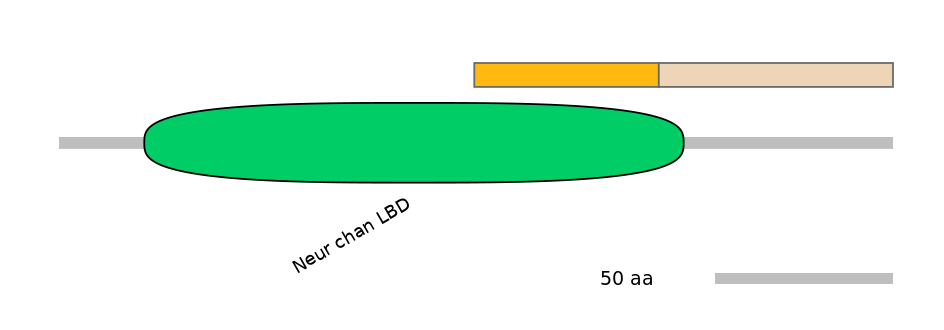 HsaEX0015329-EXC