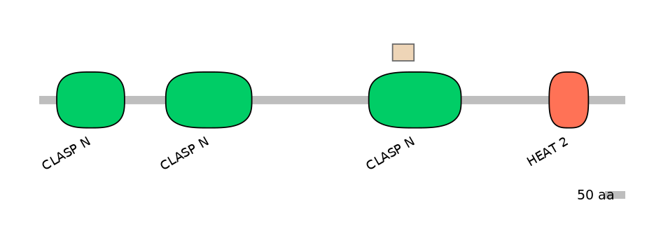 HsaEX0015472-EXC