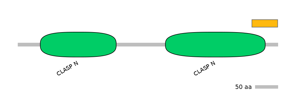 HsaEX0015489-EXC
