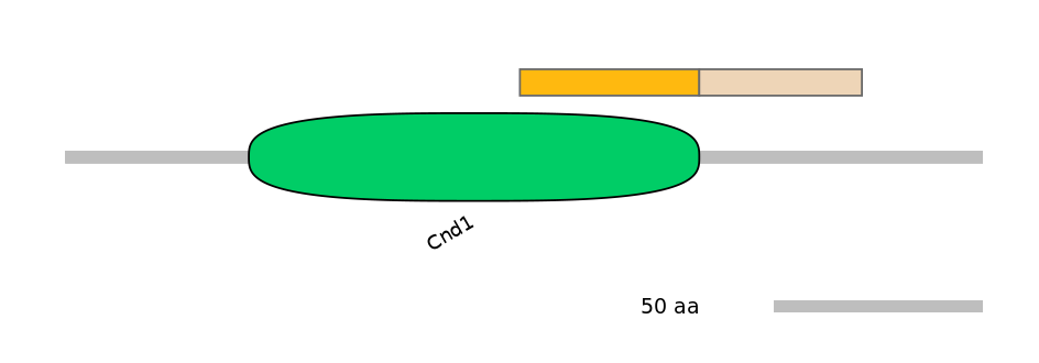 HsaEX0015502-EXC