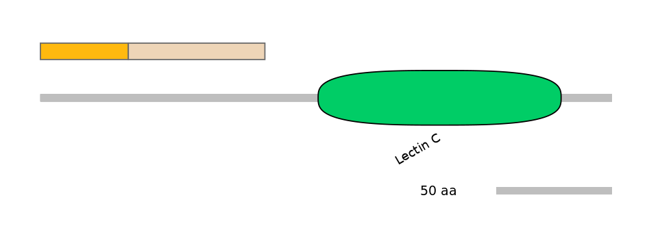 HsaEX0015610-EXC