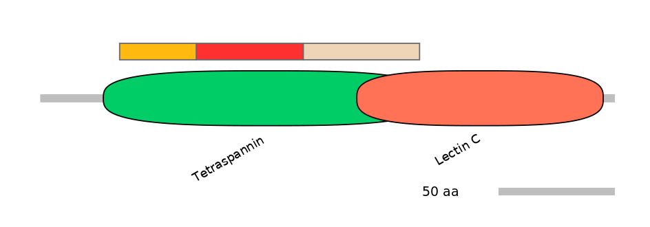 HsaEX0015642-INC