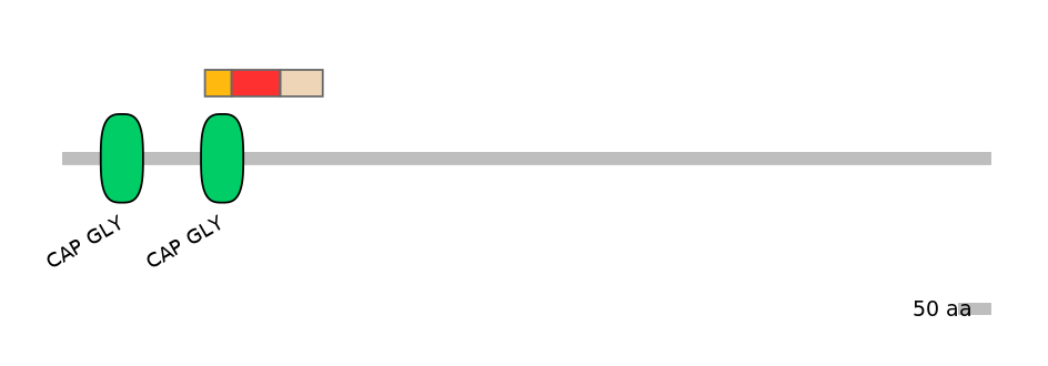 HsaEX0015665-INC