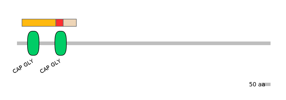 HsaEX0015669-INC