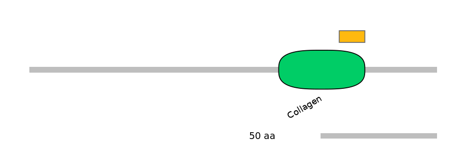 HsaEX0016301-EXC