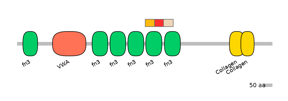HsaEX0016419-INC