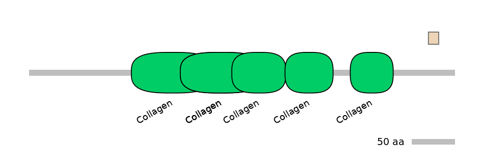 HsaEX0016470-EXC