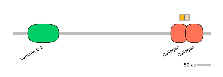 HsaEX0016502-EXC