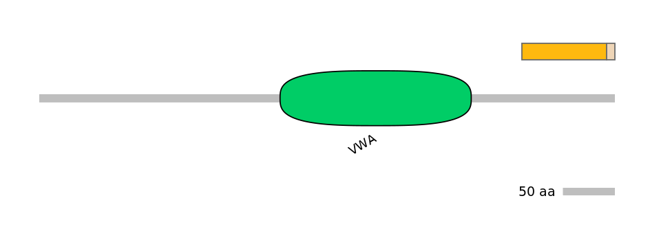 HsaEX0016514-EXC