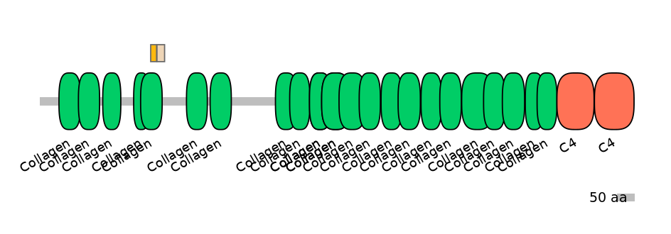 HsaEX0016531-EXC