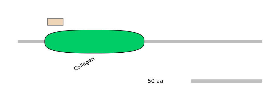 HsaEX0016662-EXC