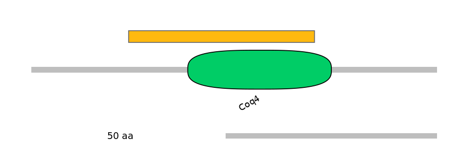 HsaEX0016826-EXC