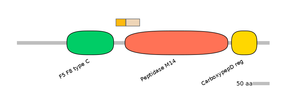 HsaEX0017099-EXC