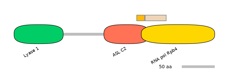 HsaEX0017158-EXC