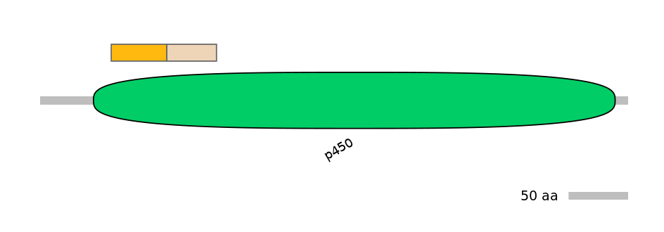 HsaEX0018323-EXC