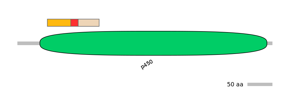 HsaEX0018323-INC