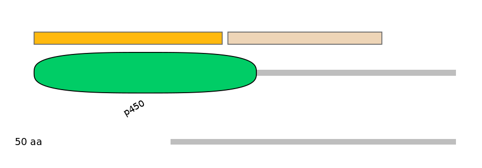 HsaEX0018332-EXC