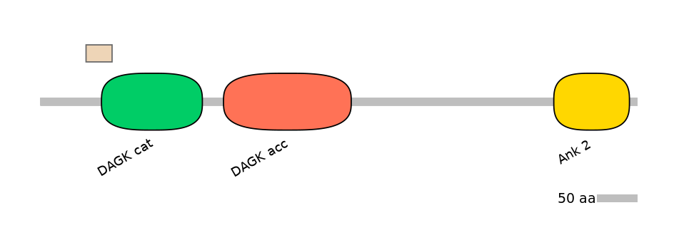 HsaEX0019450-EXC