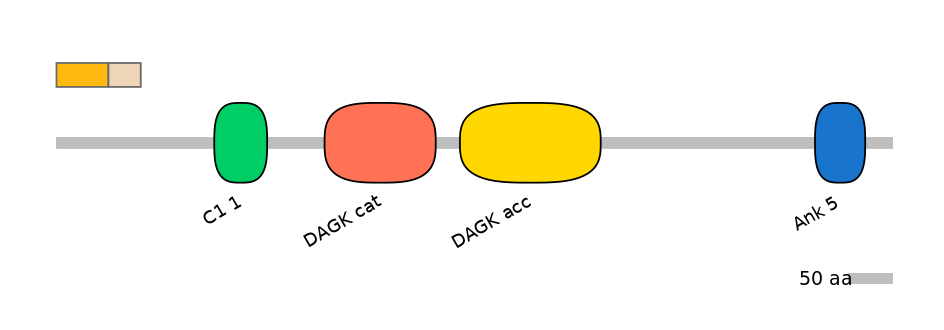 HsaEX0019472-EXC
