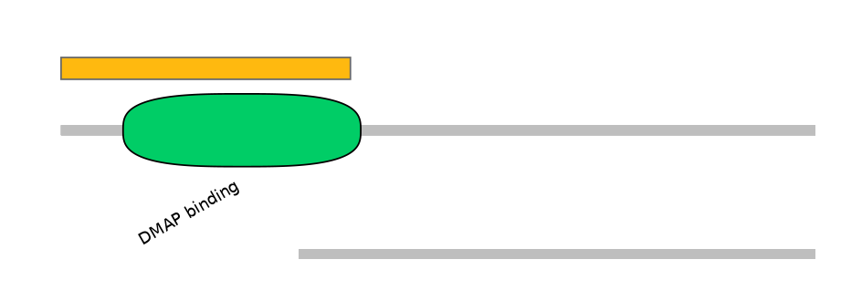 HsaEX0019755-EXC