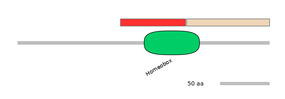 HsaEX0019936-INC