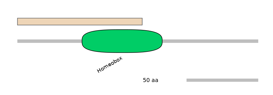 HsaEX0019937-INC