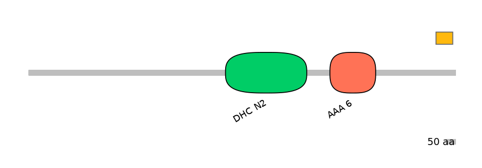 HsaEX0020129-EXC