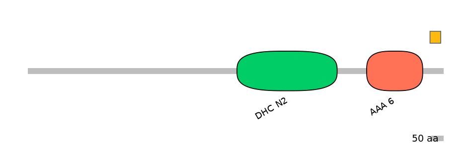 HsaEX0020186-EXC