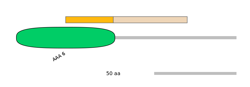 HsaEX0020220-EXC