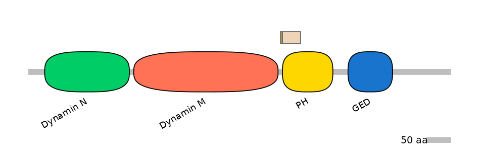 HsaEX0020441-EXC