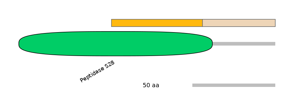 HsaEX0020853-EXC