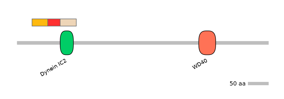 HsaEX0021277-INC
