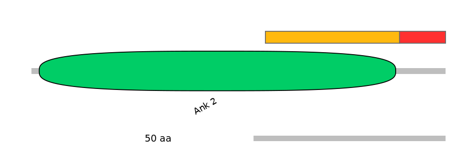 HsaEX0021872-INC