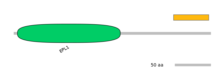 HsaEX0022710-EXC