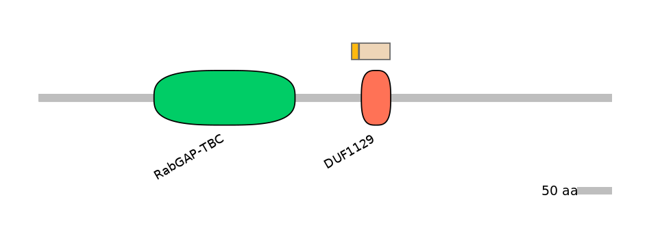 HsaEX0023364-EXC