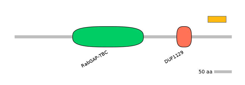 HsaEX0023368-EXC